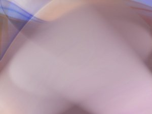 直营管理
